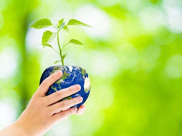 Woman holding plant pot shaped like the earth